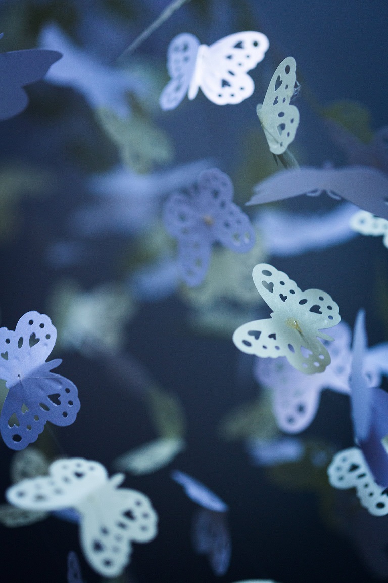 Read more about the article BESOS AL CIELO